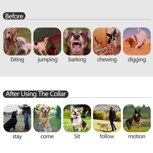 Distancia de control remoto, productos para perros de 1000 metros, equipo de entrenamiento para perros, <span class=keywords><strong>Collar</strong></span> antiladridos, herramientas de entrenamiento para mascotas - Product Image 4