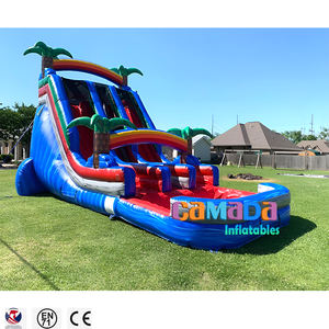 Tobogán Acuático Inflable Tropical de Doble Carril con Lona de PVC de Grado Comercial, Color Personalizado, Brincolines para Fiestas Infantiles, Casa de Brinco con Piscina - Product Image 2