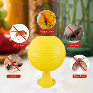 Trampa para Drosophila, Eliminador de Mosquitos <span class=keywords><strong>en</strong></span> Interiores, Insectos Voladores <span class=keywords><strong>Pequeños</strong></span>, Mosquitos de <span class=keywords><strong>Cocina</strong></span>, Bola para <span class=keywords><strong>Gusanos</strong></span> - Product Image 3