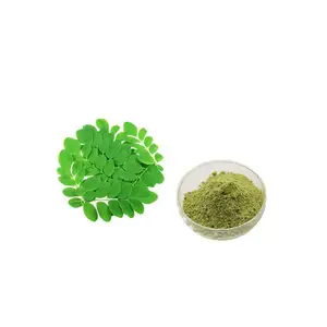 High Quality Moringa Extract Powder Moringa Leaf Powder Moringa Powder