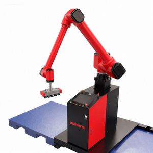 Robot de Manipulación de Cartones Modelo BORUNTE BRTMD193001A con Capacidad de Carga de 30 kg con Motor de Caja de Cambios y Componentes Principales - Product Image 5
