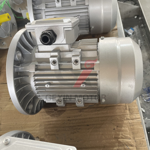 YE3-100L1-4 1.5KW 2HP 1460 vòng/phút không đồng bộ ba giai đoạn AC rpm thấp Máy phát điện phát điện cảm ứng điện 3 giai đoạn động cơ - Product Image 5