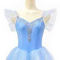 Robe longue de ballet romantique bleu clair AL-R1285 avec broderie argentée, tenue de scène pour femmes et filles, sur mesure