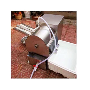 Máquina de Limpieza de Huevos de Alta Calidad/Equipo de Lavado de Huevos en Venta - Product Image 1