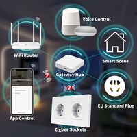 ZigBee Socket Energy Monitor Double Smart 1-3 frame Meter Sockets Google Smart Life App Alexa EU Plástico Blanco