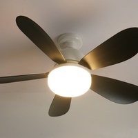 Ventilateur silencieux à cinq pales à économie d'énergie en forme de fleur Lustre Ventilateur Lumière à faible bruit Simple Décoration de la maison