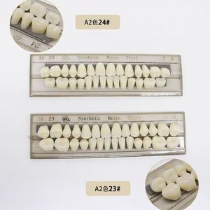 Resina Acrilica Dentale Multistrato OEM per Protesi Dentarie Sintetiche - Product Image 4