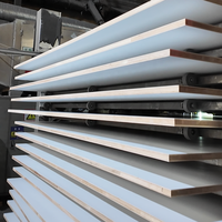 Panneaux de mélamine durables de qualité E0 E1, 4x8 pieds, finition brillante texturée, laminés pour meubles d'intérieur, armoires et solutions de rangement