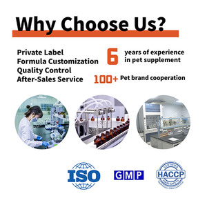 Private Label Feed Pet supporto immunitario integratore vitaminico L-lisina <span class=keywords><strong>pasta</strong></span> Gel allevia il supporto strabico per il <span class=keywords><strong>gatto</strong></span> - Product Image 6