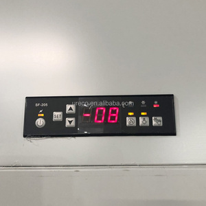 Frigorifero Verticale con 2 Porte in Vetro, Sistema di Raffreddamento a Ventola, Refrigeratore Commerciale Personalizzato - Product Image 5