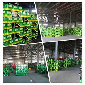 Forro de Freno 19384 para Camiones Pesados <span class=keywords><strong>Magirus</strong></span> <span class=keywords><strong>Iveco</strong></span> - Product Image 2