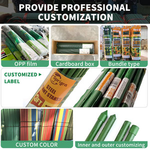 Cọc đỡ cây, khung leo cây, giàn leo cây, cọc nhựa bọc thép, ống thép, cây cảnh làm vườn bán buôn - Product Image 2