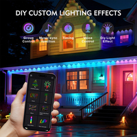Lumières LED RGB de Noël extérieures étanches IP67, contrôle intelligent par application, points lumineux à pixels pour aménagement paysager - Maison de vacances permanente