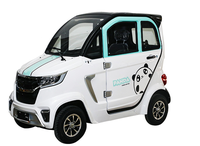 Mini-voiture électrique EEC 2 places SUV Boîte de vitesses automatique Sièges en cuir Volant à gauche Puissance moteur totale 50 kW Véhicule à énergie nouvelle Propulsion arrière