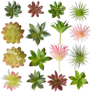 Sélection stricte Artificielle Charnue Flocage Tête De Fleur En Plastique Faux Aloe Cactus Vert Paysage Ornements En Pot Combinaison - Product Image 5