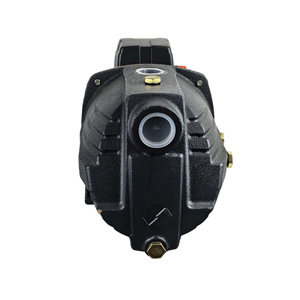<span class=keywords><strong>Leo</strong></span> Ajm Series 0,3-1.5kW 1 etapa de hierro fundido autocebante Jet de alta presión Control completamente automático 10-100L/Min Bomba de caudal - Product Image 5
