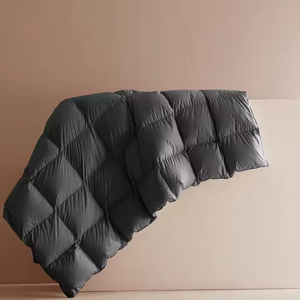 Vente en gros <span class=keywords><strong>couette</strong></span> de luxe en <span class=keywords><strong>duvet</strong></span> d'<span class=keywords><strong>oie</strong></span> super confortable de taille King Queen pour l'hiver parure de lit draps de lit pour hôtel - Product Image 6