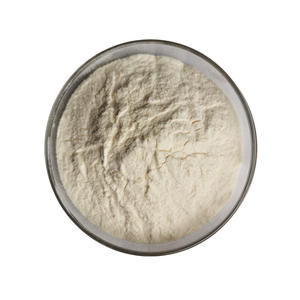 Natuurlijke Natto Extract Nattokinase Poeder - Product Image 3