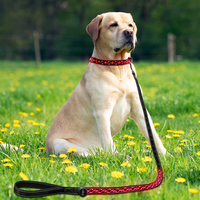 Collier et laisse pour chien brodés à LED, vente en gros d'usine, accessoires lumineux pour animaux de compagnie, motif rayé réfléchissant, polyester, tendance