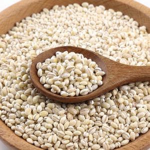 Premium Indian Pearl Barley New Season Natural Whole <b>Grains</b> for Global Food Suppliers and Commercial Importers - Product Image 1
