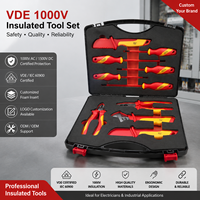 Ensemble d'entretien professionnel certifié VDE 1000V en acier au chrome-vanadium, avec mallette rigide, manuel d'utilisation, OEM/ODM, logo personnalisé