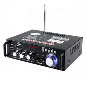 Amplificateur de puissance Portable professionnel, 12V dc, ac 110 ou 220V, avec 2 micro, port SD, sans fil, bluetooth 5.0, FM