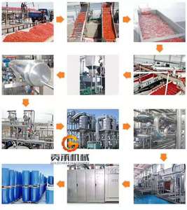 2023 nhỏ cà chua dán máy làm nước sốt cà chua xoài bột Tập trung thiết bị bay hơi để bán - Product Image 6