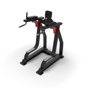 Máquina de Elevación de Piernas QLRD065 Fabricada en Vietnam |   Equipos de Fitness Qli |   Máquina de Ejercicios de Abdominales Extra Grande con Engranajes Metálicos de Uso Comercial |   Listo para Usar de Alta Calidad - Product Image 1