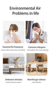 家用和商用空气净化器，带<span class=keywords><strong>Hepa</strong></span>过滤香气扩散器，用于灰尘烟雾雪茄宠物销售 - Product Image 5