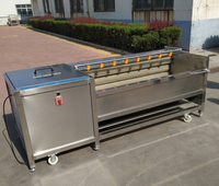 Rolbodemlengte 1000mm 500KG/H Cassaveverwerkingsmachines Fruitborstelwasmachine Borstelrol Aardappel schilmachine