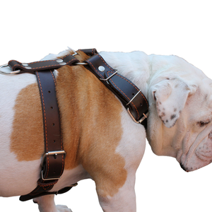 جلد طبيعي لا يسحب الكلب تسخير تدريب الحيوانات الأليفة المشي تسخير الكلب بيتبول سترة - Product Image 1