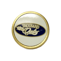 Pin kerah kerajinan logam Harga terbaik Pin berbentuk bintang Enamel keras lembut Pin timbul Enamel logam
