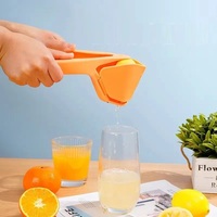 Presse-agrumes portable manuel pour fruits, oranges, citrons verts et citrons – Mini machine à jus – Offre spéciale
