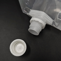 Sac à eau transparent avec bec verseur, OEM en gros, personnalisé, 750 ml, poche à eau en plastique pliable portable