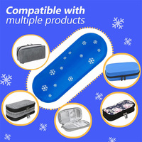 Prix d'usine Mini-packs de glace réutilisables en gel pour médicaments, sacs de voyage, approuvés TSA, certifiés CE