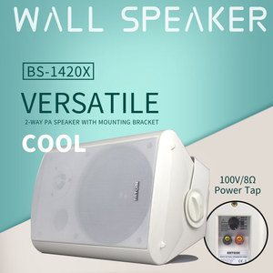 Bộ khuếch đại trộn 70V/100V với độ trễ tiếng vang Bộ Loa Treo Tường 2 Chiều Hệ thống âm thanh nhà thờ Hồi giáo hoàn chỉnh - Product Image 6