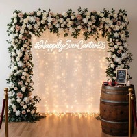 Enseigne néon RVB flexible résistante aux intempéries, personnalisée, grand format, pour mariage, avec panneau arrière en acrylique transparent, enseigne néon personnalisable