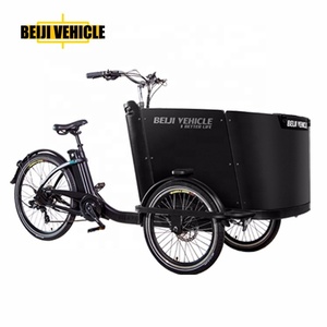 Beiji Néerlandais trois roues tricycle électrique en bois courbé boîte cargo vélo avec housse de pluie à vendre - Product Image 3