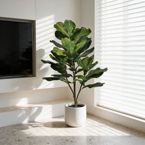 Plantes artificielles de figuier à feuilles de violon de haute qualité à <span class=keywords><strong>prix</strong></span> de gros, décoration moderne pour la maison, plante artificielle en pot de type Lyrata - Product Image 2