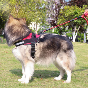 Correa para Perros de 1.5M 1.8M, Manos Libres, Sólida, de Lujo, de Poliéster Reflectante, Resistente, Acolchada con Neopreno, con Doble Asa, para Pasear Perros al Aire Libre - Product Image 4