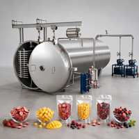 Machine de lyophilisation sous vide pour aliments pour animaux de compagnie à base de fruits et légumes mélangés à basse température, équipement de déshydratation alimentaire automatique