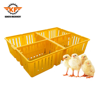 Cage de transport en plastique pour poussins, boîte à compartiments carrés pour poussins et canetons