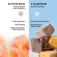 Directement du fabricant, saveur personnalisable, en conserve, ingrédients naturels, friandises lyophilisées pour chiens, adaptées aux chats et aux chiens