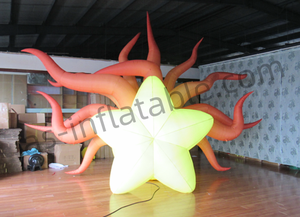 Aanpassen Van Gigantische Zeeleven Decoratie, Opblaasbare Dolfijnen Voor Aquaria En Oceanaria Opblaasbare Zeedieren - Product Image 2