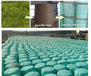 2020 أحدث التلقائي الذرة السيلاج التعبئة آلة البسيطة جولة مكبس قش آلة صنع في الصين - Product Image 5