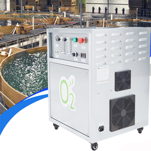 Generador de Oxígeno Industrial de 10L 20L 30L 40L 50L para Acuicultura de Peces Máquina de Oxígeno PSA con Pureza del 93% - Product Image 6