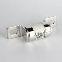 Composant de fusible automatique rapide de fusible de voiture d'AC/DC 750V 20-1200A pour des véhicules électriques fusible d'Ev pour l'usage de véhicule