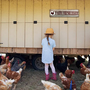 Plaque Métallique Vintage « Œufs Frais de la Ferme » – Décoration Murale Rétro Lait et Œufs pour Poulailler, Cuisine de Campagne, Ferme et Décoration de Fermeur - Product Image 3