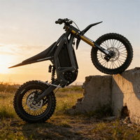 Moto électrique puissante Arctic Leopard XF PRO 12KW, moto tout-terrain électrique Arctic Leopard 95 km/h