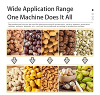 Multi-laagse vibrerende noten sorteermachine complete productielijn voor het sorteren van walnoten, amandelen, pistachenoten en pinda's op maat.
